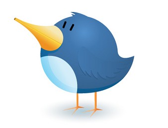 twitter-pajaro