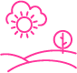Custom Image