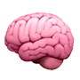Custom Image