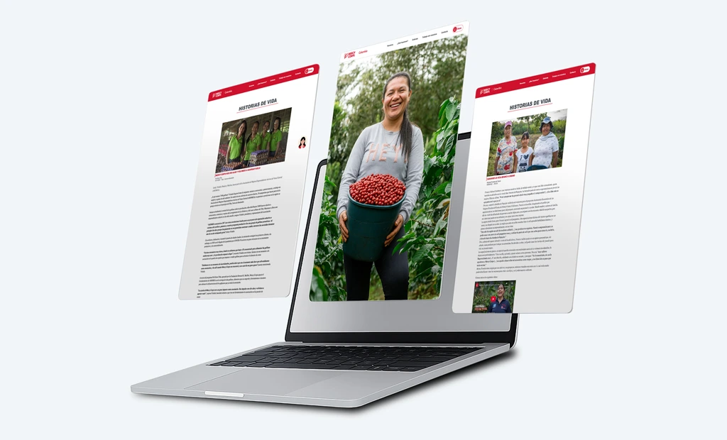 diseno-digital-website-ong