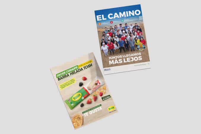 revista el camina edición nov 2018