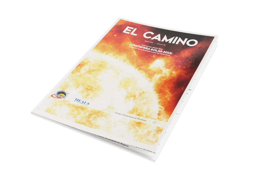 revista el camino-2