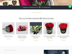 Universal Roses - Diseño tienda online